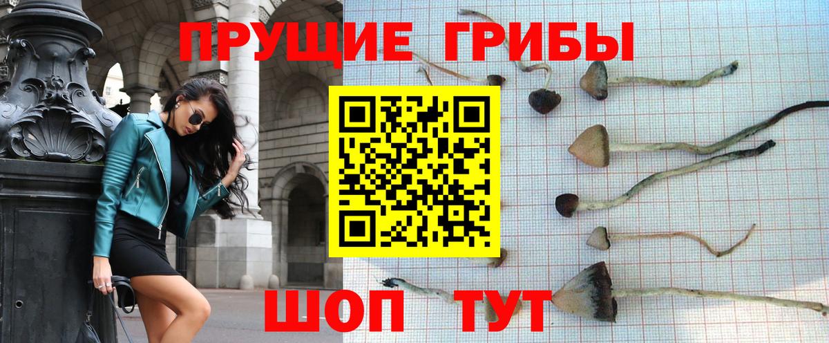 Галлюциногенные грибы GOLDEN TEACHER Всеволожск