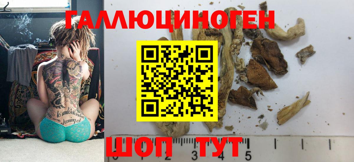 Всеволожск  Галлюциногенные грибы ЛСД  Псилоцибиновые грибы GOLDEN TEACHER  Вход с VPN 